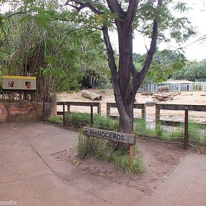 White Rhino Enclosure