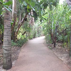 View in Africa Section