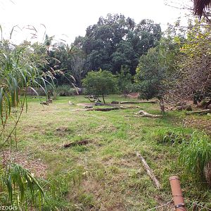 African Wild Dog Enclosure
