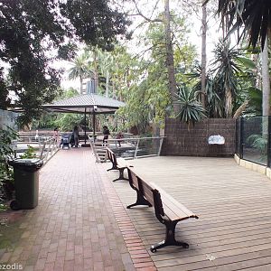 Cassowary Enclosure and Gibbon Island Viewing