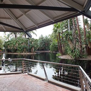 Gibbon and Lemur Islands