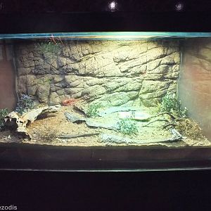 Dampier Peninsula Monitor Enclosure