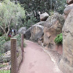 View in the Australian Bushwalk Exhibit