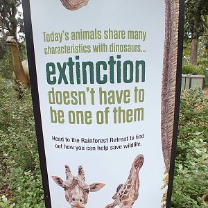 Sign About Dinosaur Display