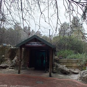Entrance to Penguin Plunge