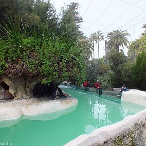 View in Penguin Plunge Aviary