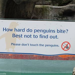 Penguin Sign