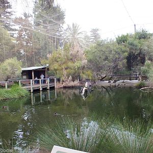 View in Huge Wetlands Aviary