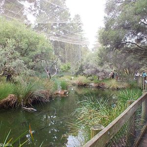 View in Huge Wetlands Aviary