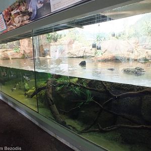 Merten's Water Monitor Enclosure