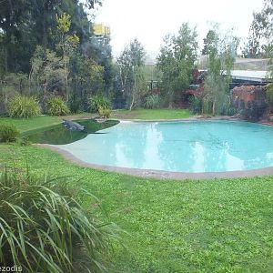 Saltwater Crocodile Enclosure