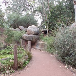 View in Australian Bushwalk