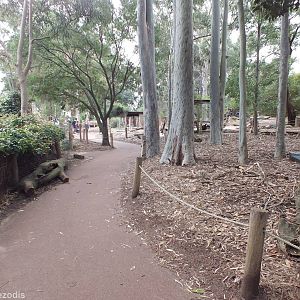 View in Kangaroo Walkthrough