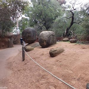 View in Kangaroo Walkthrough