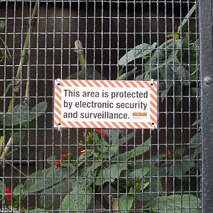 Sign About Security Protection on Small Primate Enclosures