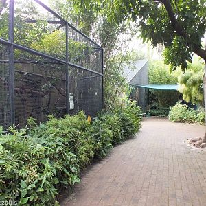 View in Small Primates Section