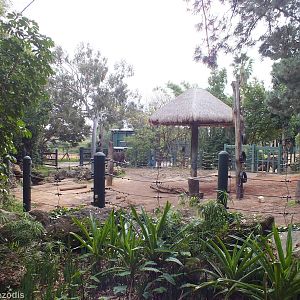 Bull Elephant Enclosure