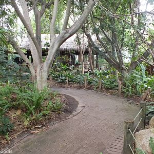 View in the Asia Section