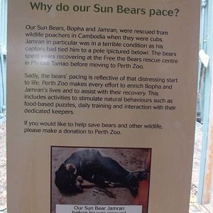 Sun Bear Informational Sign