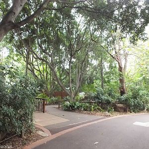 View in the Asia Section