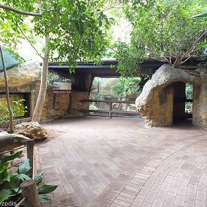 Komodo Dragon Exhibit
