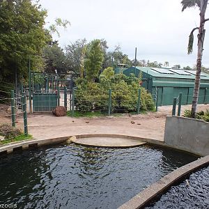 Part of Elephant Enclosure