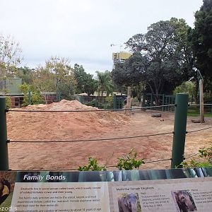 Part of Elephant Enclosure
