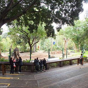 Elephant Viewing Area