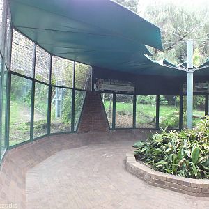 Sumatran Tiger Viewing Area