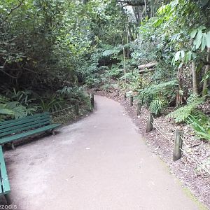 View in the Botanic Walk