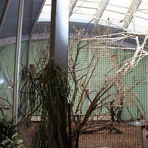 ?quatorium : Lorikeet aviary