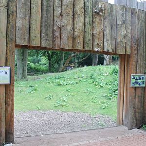 ?quatorium : Viewing-point into the gorilla outdoor enclosure