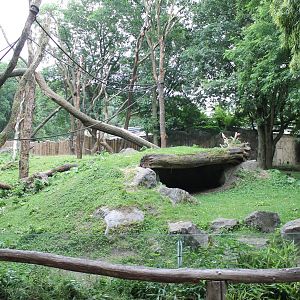 ?quatorium : Gorilla outdoor enclosure