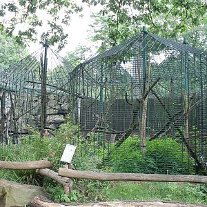 ?quatorium : Lion-tailed macaque outdoor enclosure