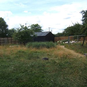 View of work on Greater Flamingo enclosure