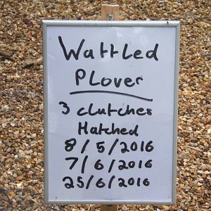 Breeding results sign