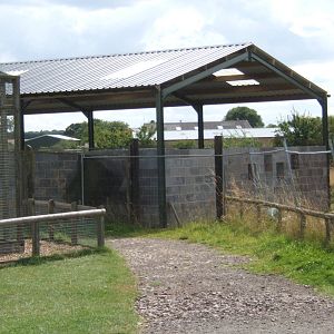 View of construction of the new nocturnal enclosure