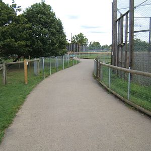 New exhibit construction work