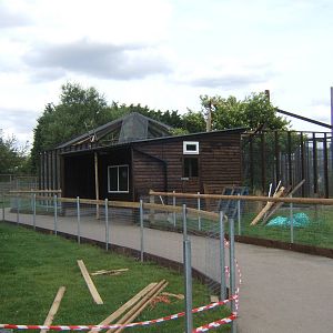 New exhibit construction work