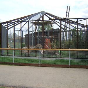 New exhibit construction work