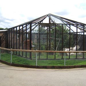 New exhibit construction work