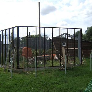 New exhibit construction work