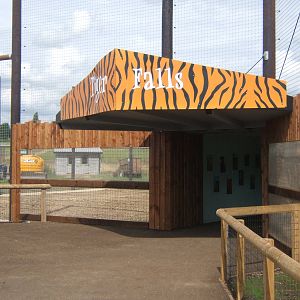 New Tiger exhibit
