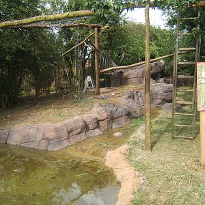 Final touches to the ASCO and Binturongs exhibit