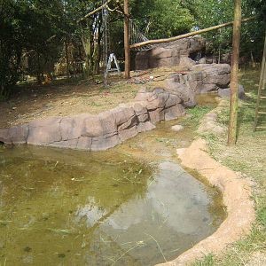 Final touches to the ASCO and Binturongs exhibit