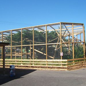 View of new Barbary Macaque enclosure