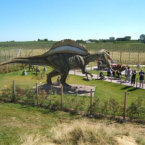 View of new Dinosaur exhibit