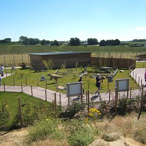 View of new Dinosaur exhibit