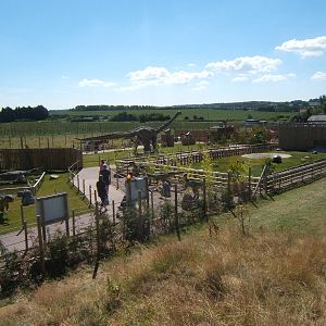 View of new Dinosaur exhibit