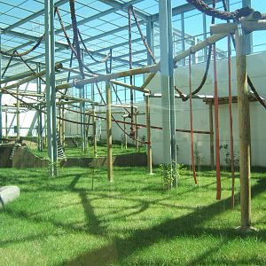 View of outdoor chimp enclosure
